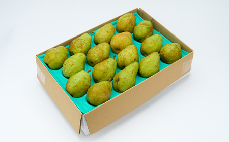 《先行予約》ラ・フランス ご家庭用 5kg 令和8年産 2026年産 西洋梨 山形県産 果物 送料無料 ※沖縄・離島への配送不可 ns-laxxw5