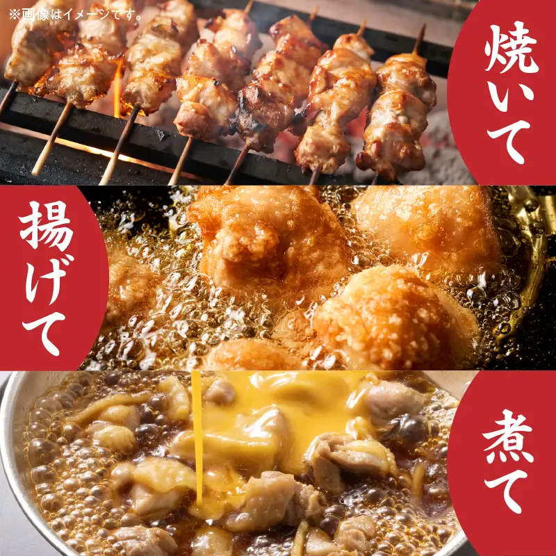 【隔月発送】【6回定期便】宮崎県産 若鶏もも肉 300g×10P 計3kg 鶏 鶏肉 若鶏 モモ肉 鶏モモ からあげ チキン南蛮 焼き鳥 シチュー カット済 真空パック