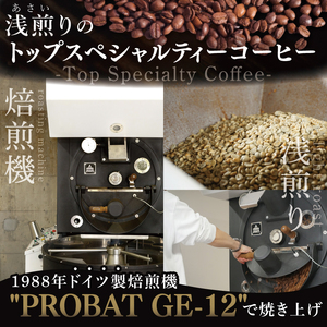 スペシャルティーコーヒー 水出しコーヒーパック 1種類（MB-5）