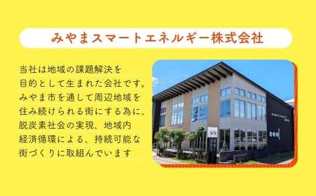 Z6 みやま市産 CO2 フリーでんき （2,500円×10ヶ月分） 電気料金 電気代 電力 エネルギー 節約 福岡県 みやま市