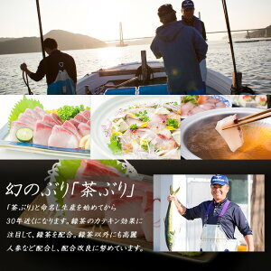 《鹿児島県長島町産》どん薩摩の茶ぶり丼回数券(3回分) 茶ぶり 茶鰤 鰤 丼物 海鮮【株式会社 Never Land】never-1547