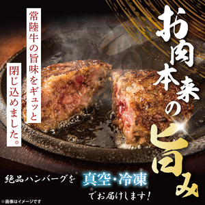 【茨城県共通返礼品】常陸牛100％ vs 常陸牛入りハンバーグの食べ比べセット （計10個入り）常陸牛使用｜ブランド牛 銘柄牛 和牛 黒毛和牛 国産 A5・A4ランク 等級 お肉 牛肉 真空 小分け 個包装 茨城県 大子町（DD021）