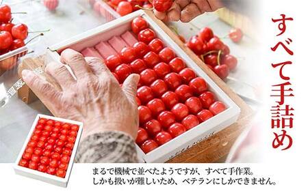 さくらんぼ 佐藤錦 300g L玉 特秀 手詰めギフト 山形県産 化粧箱入り 【令和8年度 先行予約】 FSY-2263