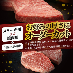 【冷凍】 前沢牛 ヒレ1本分 4.5~5kg オーダーカット [ME018]