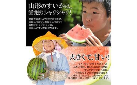 すいか 2L～3L(約7kg) 1玉 山形県産 ギフト用 【令和8年度産 先行予約】 FSY-2268
