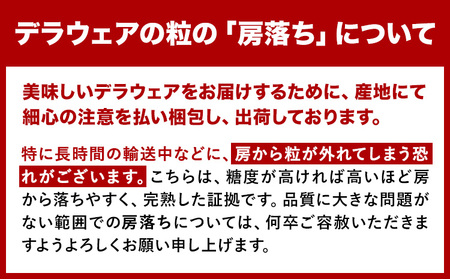 デラウェア ご家庭用デラウェア 約600g