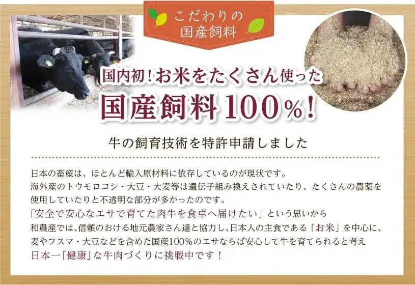 農林水産大臣賞受賞 特選 天童牛 和の奏 角切り ステーキ 500g 山形牛 08-27-012
