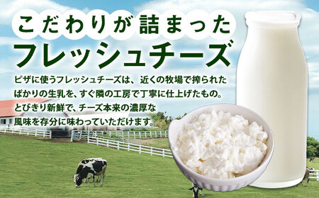 冷凍ピザ 4枚セット UBUYAMAPLACE ピザ