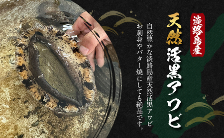 天然 活あわび 2個 活鮑 黒あわび あわび 鮑 貝 貝類 海鮮セット 刺身 お刺身 BBQ バーベキュー 海鮮 冷蔵 淡路島 洲本市