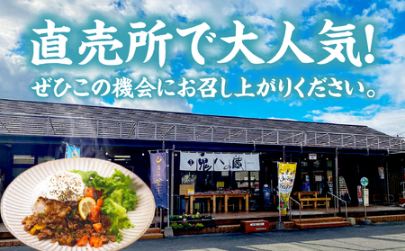 【カフェARIGATO監修】宮崎牛入り 高千穂ガパオライス ガパオライス 宮崎牛 ご飯 惣菜 加工品 冷凍 冷凍食品 温めるだけ レンジ  レンジ調理 レンチン 手軽 簡単調理 おすすめ お取り寄せ ご当地 グルメ 人気 宮崎県 高千穂町_Tk005-101