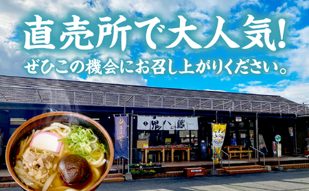 【道の駅 高千穂 レストラン監修】神楽うどん うどん 冷凍うどん 1人前 具入り かつお出汁 惣菜 加工品 冷凍 手軽 簡単調理 お取り寄せ ご当地 グルメ 宮崎県 高千穂町_Tk005-104