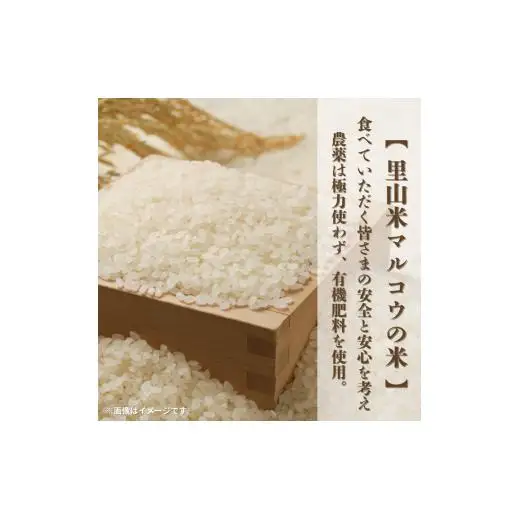 里山米マルコウ　にじのきらめき　5kg　精米／ 米 こめ コメ お米 おこめ にじのきらめき 令和7年産 白米 精米 ごはん ご飯 5kg 千葉県 匝瑳市 送料無料