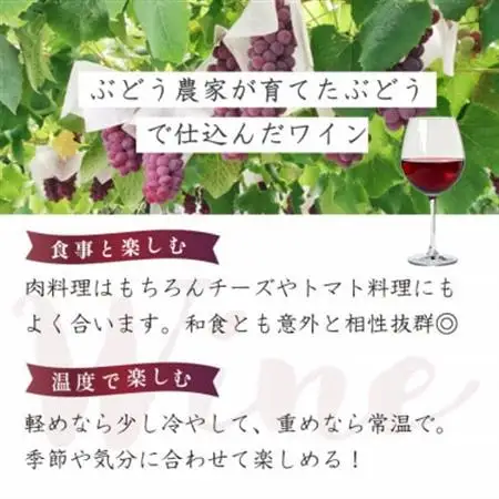 八幡の赤 赤ワイン ぶどうの名産山梨でとれた葡萄で仕込んだワイン 八幡洋酒 750ml×1本【1641132】
