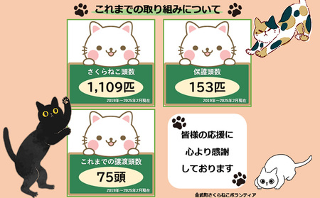 【お礼の品なし】沖縄県金武町でネコを救う　保護猫活動などをサポート（1万円） ねこ