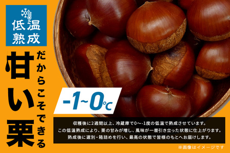 熟成生栗 2kg 3L 以上 農産物直売所すわ 国産和栗 JV-005