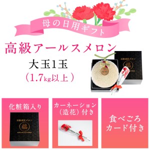 【0151112a-M】＜母の日ギフト・数量限定＞高級アールスメロン(大玉1玉・1.7kg以上、カーネーション(造花)付) メロン フルーツ 果物 果実 1キロ 数量限定 期間限定 贈答 贈り物 母の日【マル福園芸組合】