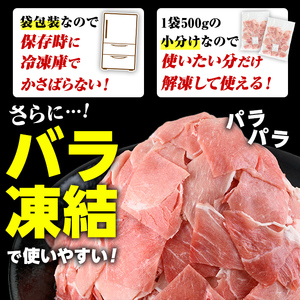 訳あり！鹿児島県産 豚肉切り落とし (計3kg) 切り落とし こま切れ 国産 鹿児島県産 豚肉 ブタ おかず バラ肉 個包装 小分け 薄切り 切り落し 切落し 冷凍配送 小間切れ コマ 訳アリ 【スターゼン】akn042-40