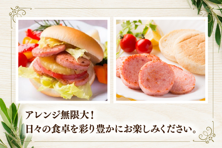ソーセージ ボロニアソーセージ450g [吉田ハム工場 静岡県 吉田町 22424674] 