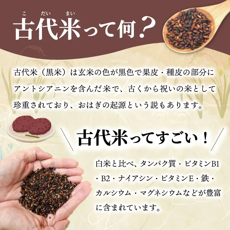 伊勢 斎宮 古代米 黒米 100g×3袋 合計300g