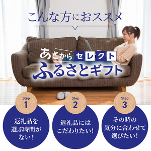 【9998-19】あとからセレクト【ふるさとギフト】寄附100万円相当
