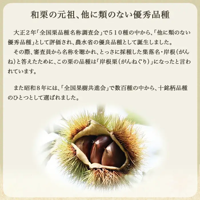 岩国がんね栗 栗のカケラ 70g 無添加 無着色【がんね栗の里】