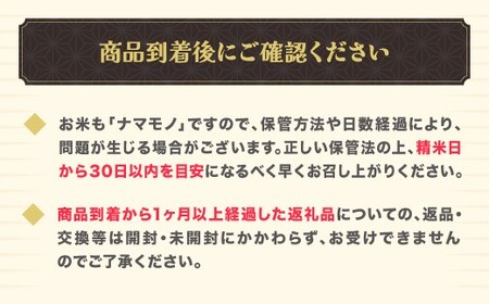 米 2kg はえぬき 精米 令和7年産 2025年産 山形県 尾花沢市産 送料無料 kr-hasxa2