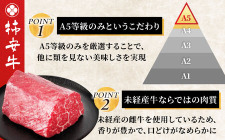 【6回定期便】 最高級A5等級 三重県産黒毛和牛 柿安牛 プレミアム定期便 総計4.4�s 亀山市/柿安本店[AMBW042]