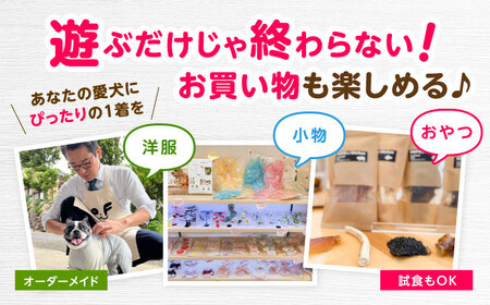 ドッグラン利用券(12回分) / ドッグラン 犬 施設 利用券 利用チケット 回数券 ペット / 諫早市 / 株式会社美泉[AHAP042]