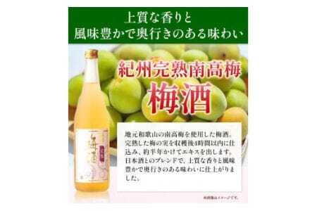 梅酒 紀州完熟南高梅 梅酒 1.8L