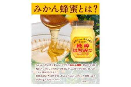 純粋はちみつ(みかん蜂蜜)ギフトセット ２本セット 1200g×1本＋450g×1本 