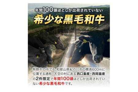 サーロインステーキ 黒毛和牛 牛 牛肉 ステーキ 約100g 約100g×1パック 