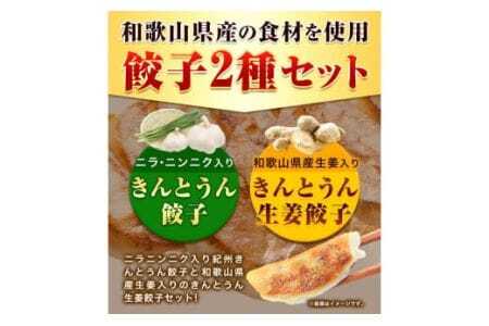 紀州きんとうん餃子 生姜餃子 2種 セット 計120個 ( 30個 入り × 4パック )