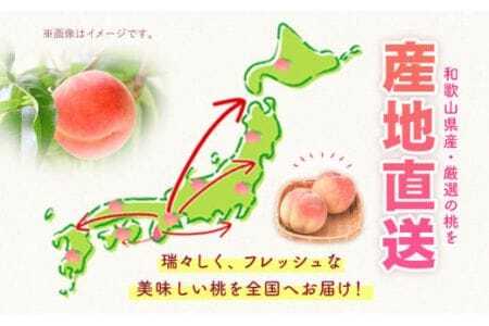 桃 紀の里の桃【2回定期便】約2kg×2回