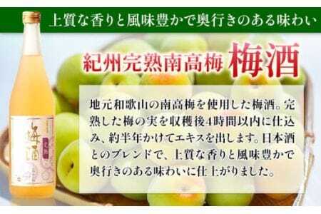 梅酒 紀州完熟南高梅 濃厚 ねり梅酒と芳醇 完熟梅酒 720ml×各1本 