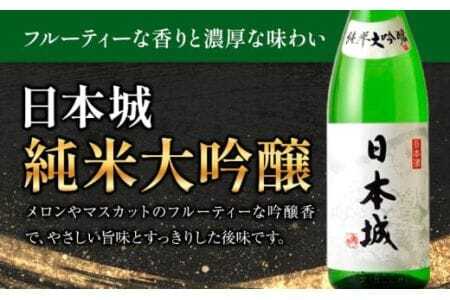 日本酒 日本城 純米大吟醸 と 根来 純米吟醸酒 呑み比べセット 2種 720ml 酒のねごろっく