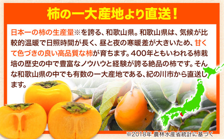 柿 訳あり たねなし柿約2kg 