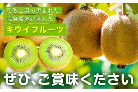 【先行予約】紀の姫キウイフルーツ 約3.6kg (20-27玉入) サイズおまかせ 