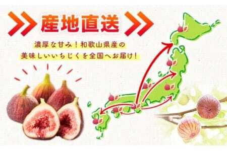 完熟いちじく 約600g (300g×2パック)