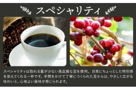 Cコーヒーギフト スペシャリティ 180g モカブレンド 180g 中挽き