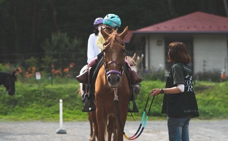 【平日限定】乗馬施設 貸切チケット 乗馬 貸切 チケット 貸切チケット 乗馬体験 平日限定 最大25名様 グループ ファミリー 家族 馬20頭以上 体験 [h034]