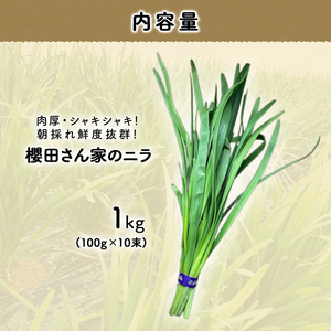 【先行予約】【12月から発送】肉厚・シャキシャキ! 朝採れ鮮度抜群! 櫻田さん家のニラ 1kg(100g×10束)  SMCS001