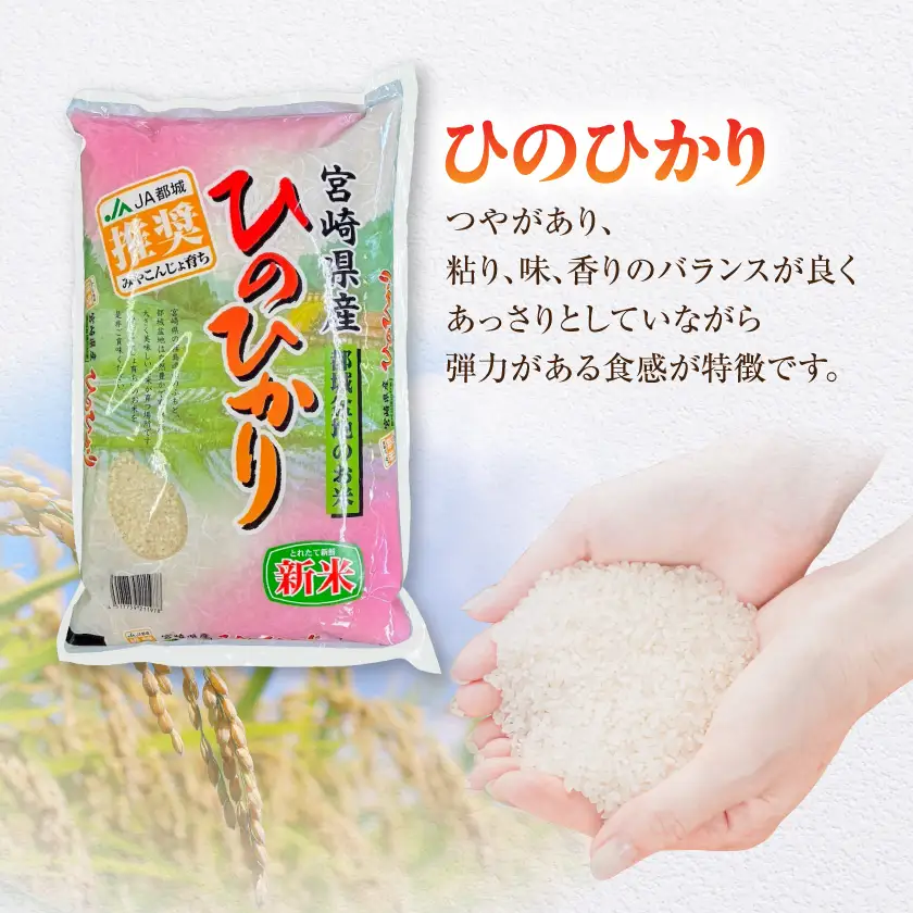 都城産のお米「おてんとそだち」&「ひのひかり」各3kg〔16-N5-003-6kg〕_(都城市) 宮崎県 都城産 お米 3㎏×2袋 食べ比べ  弁当 おにぎり