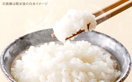 R7年度産 ヒノヒカリ 玄米 5キロ 5kg 高槻あぐり[AOCS031]