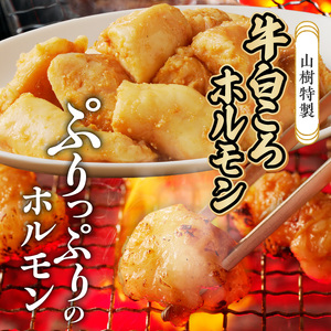 山樹の焼肉セット（黒毛和牛ゲタカルビ、牛タン、白ころホルモン） ［047R33］
