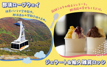 那須町グルメ＆レジャー共通券「那須ぐるチケ」15,000円分（1,000円券×15枚）〔E-66〕｜ 栃木県 那須 商品券 クーポン券 割引券 食事券 日帰り 旅行 観光 サファリパーク 動物園 遊園地 《2026年3月末までの申込みで有効期限延長！》