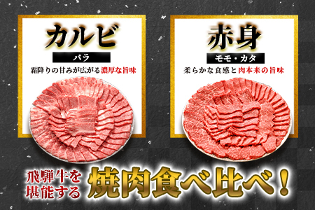 【最短発送】 贅沢！ 飛騨牛 焼肉セット 400g 2人前 牛肉 和牛 肉 焼肉 BBQ 霜降り カルビ 赤身 モモ カタ 東白川村 岐阜 養老ミート