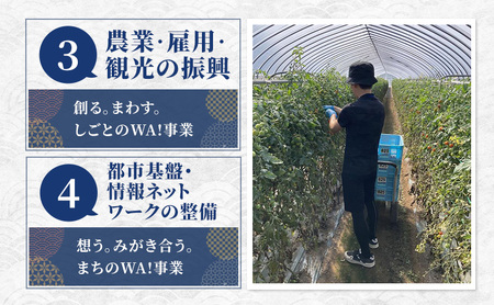 北海道 富良野市 寄附のみの応援受付 70,000円コース（返礼品なし 寄附のみ 70000円）