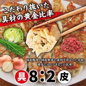 肉餃子 手包み ジャンボ 餃子 45個 冷凍 15個 × 3パック 【 餃子 】