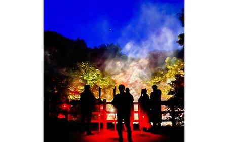 阿寒湖の森ナイトウォーク「KAMUY LUMINA (カムイルミナ)」入場券 大人2枚 体験 アクティビティ プロジェクションマッピング デジタル体験 アイヌ 文化 自然 森林浴 美容 アウトドア 自然 エンタメ 旅行 トラベル チケット アート 芸術 異世界北海道 釧路市 F4F-8584
