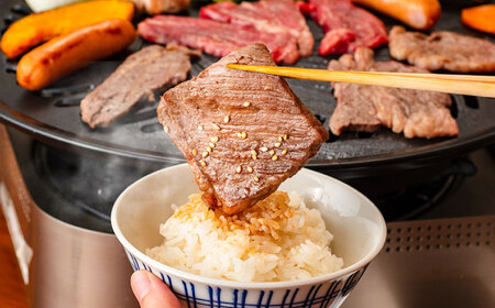 【全12回定期便】熊本あか牛 焼肉 用カット(バラ ロース) 約500g 焼肉 BHCY048